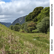 Prepossessing Nature