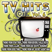 TV Hits Vol. 6