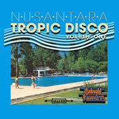 NUSANTARA TROPIC DISCO VOL. I