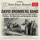 David Bromberg Band: The Blues, The Whole Blues and Nothing But the Blues