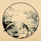 Blue Turtle Tea Party