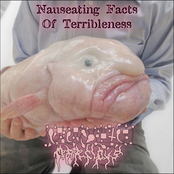 Nauseating Facts Of Terribleness