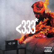 <333*