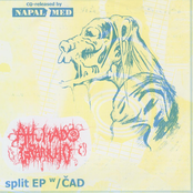 Split EP