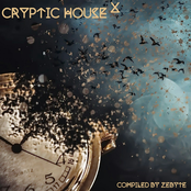 Cryptic House 10