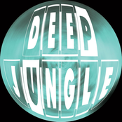 Burn It Down / Room To Move