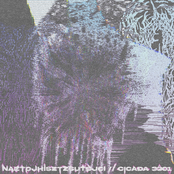 Naztdjhisztzsutdjci // Cicada 3301