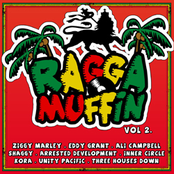 Raggamuffin Vol. 2
