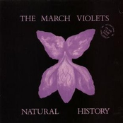 Undertow by The March Violets