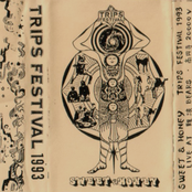 Trips Festival