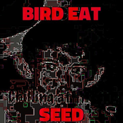 Bird Eat Seed