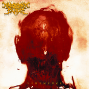 Monochromatic Black: Vehemence