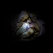 Christmas cums but once a year