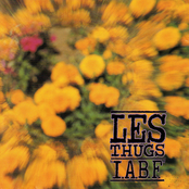 Is It The Right Way? by Les Thugs