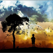 In Searching Wonder [LP]