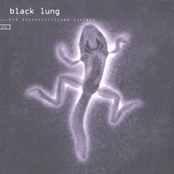 The Corps Of Coagulated Consciousness by Black Lung