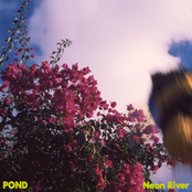 Pond