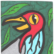 If The Bird Is Released, Is The Cage Then Free? Split with Planet of ID