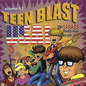 Teen Blast USA! Vol 2