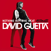 Metropolis by David Guetta & Nicky Romero