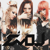 evol (이블)