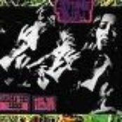 Absorb the Shock, Feel the Religion