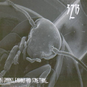 beginnings, endings and something....