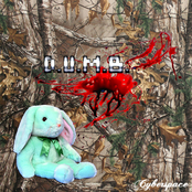 D.U.M.B.
