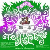 Universi e trasparenze