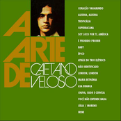 A Arte de Caetano Veloso