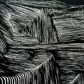 Maritime: Magnetic Bodies/Maps of Bones