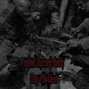 Day of Dead
