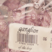 Ageless Formless Hollow by Ganglion