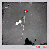 Darlin'