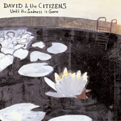 As You Fall (i Watch With Love) by David & The Citizens