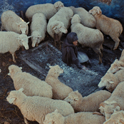 This Is Not A Burial, It's A Resurrection (Original Motion Picture Soundtrack)