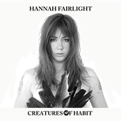 Hannah Fairlight: Creatures of Habit