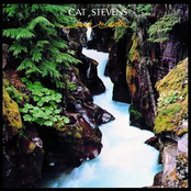 Father by Cat Stevens