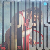 Orpheus