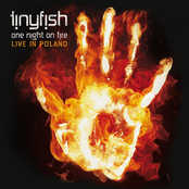 One Night on Fire: Live in Poland