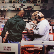 Stem (cops 'n' Robbers Mix) by Dj Shadow