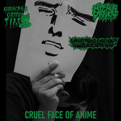Cruel Face of Anime