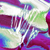ultrasonic music for orchids and other nice living things