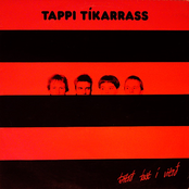 Bitið Fast Í Vitið