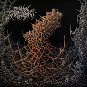 Seminal Embalmment