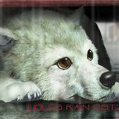 Wolf's Rain OST 2