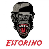 Estorino