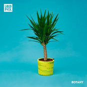 LOUDPVCK: Botany EP