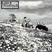 Timidi orizzonti (2003)