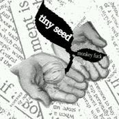 tiny seed